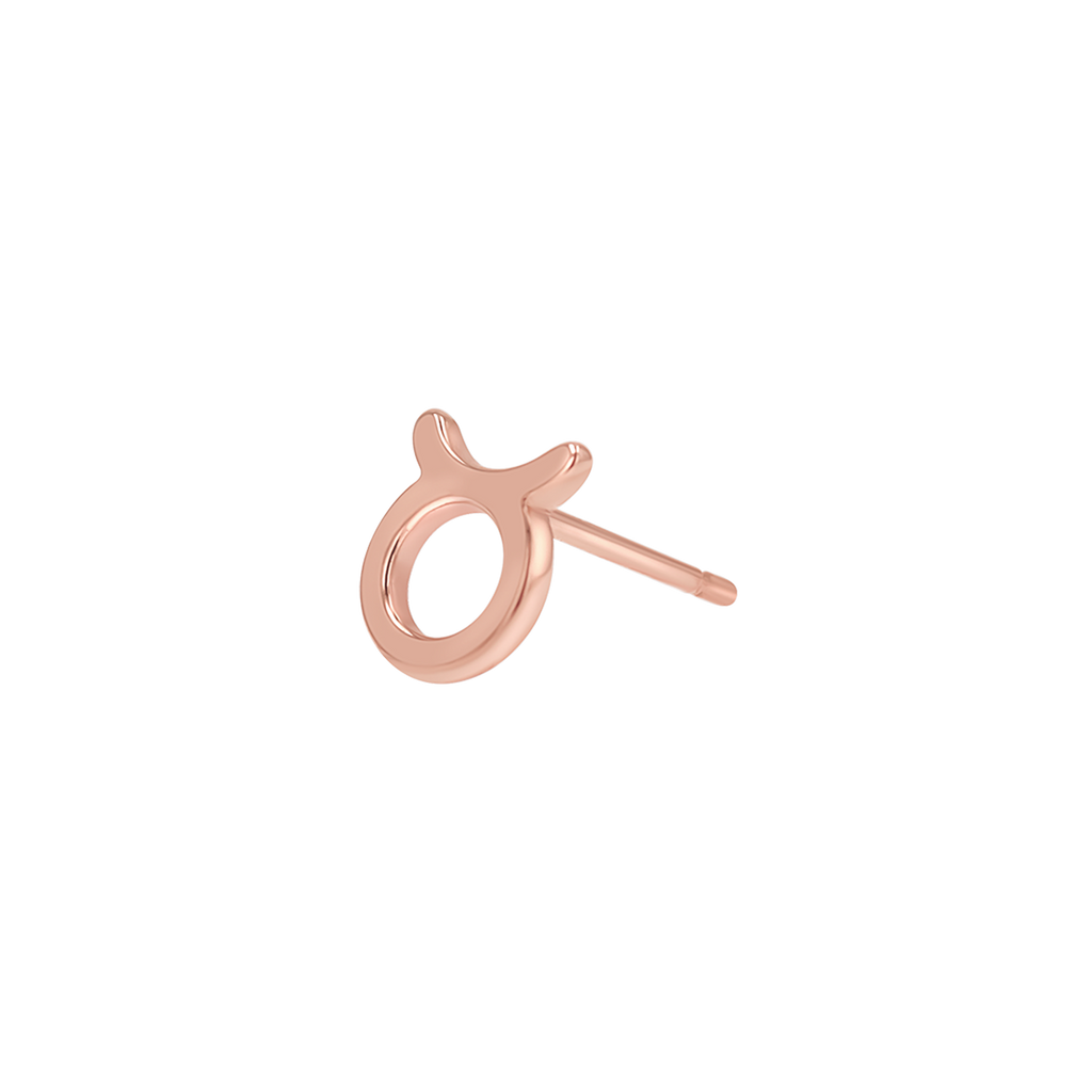 Zodiac Stud Earrings Y107