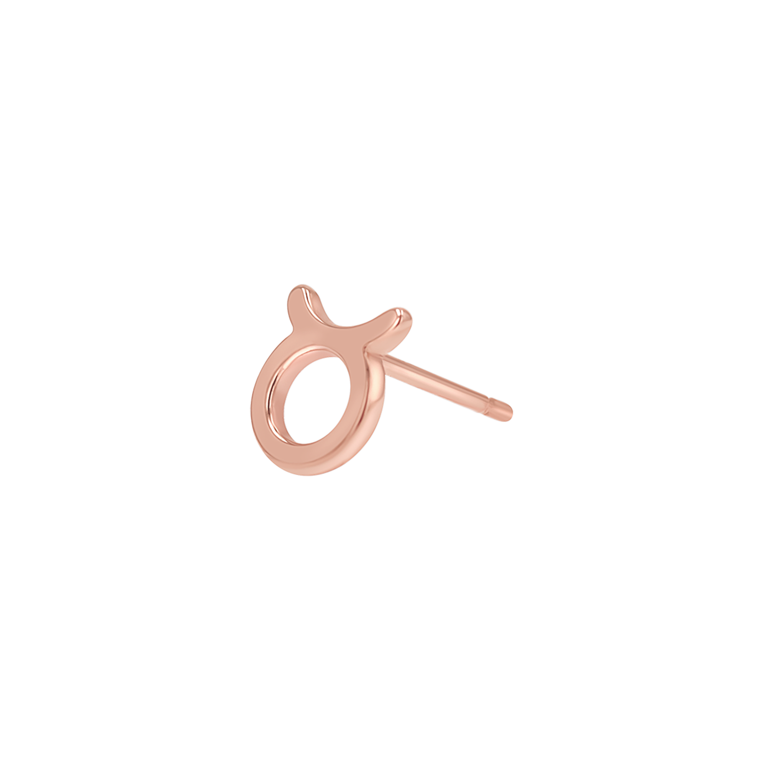 Zodiac Stud Earrings Y107