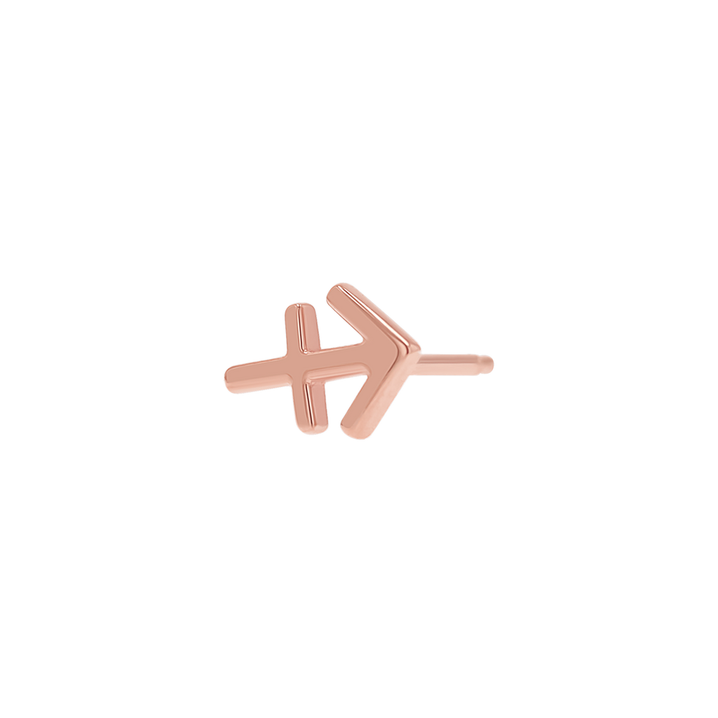 Zodiac Stud Earrings Y107