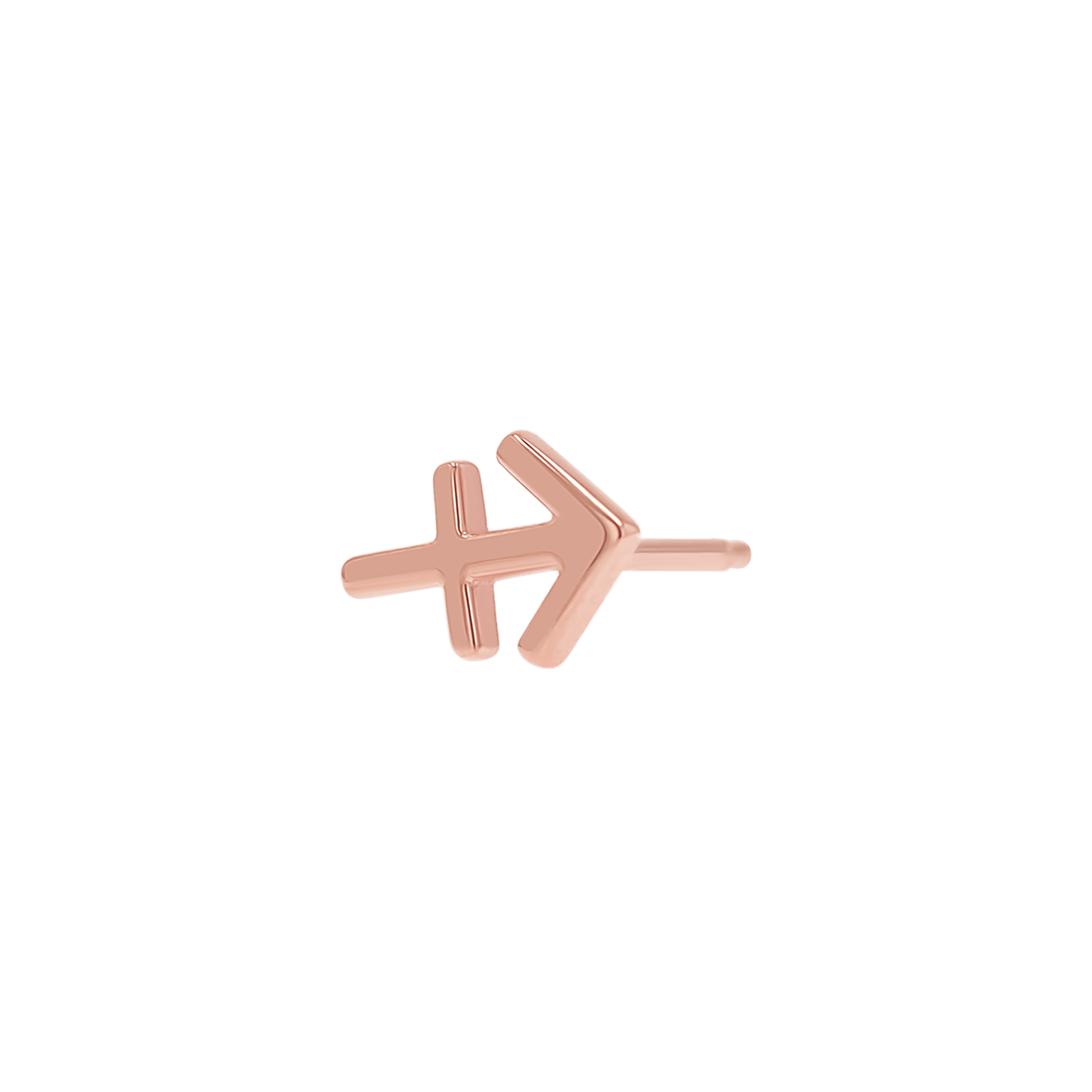 Zodiac Stud Earrings Y107