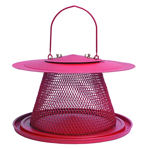 Red Cardinal Bird Feeder - 2.5 Feed Capacity S373