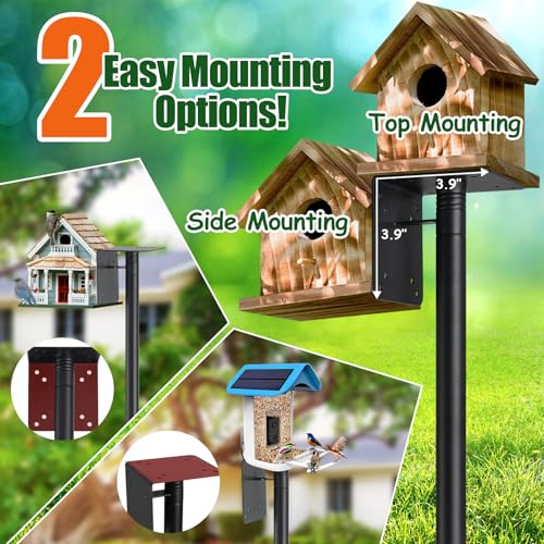 103" Extra Tall Bird Feeder Pole with Anti-Tip Stakes P25202