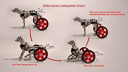 SitGo Dog Pet Wheelchair F813148
