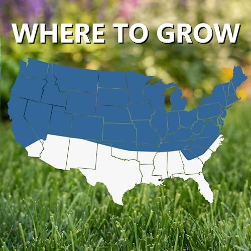 Cool Season Grass Seed Fertilizer Mulch 13.5 lb T313