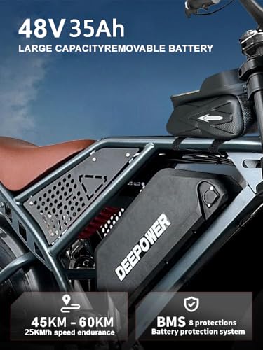 1500W Peak 20" Fat Tire Dual Suspension Electric Bike V117