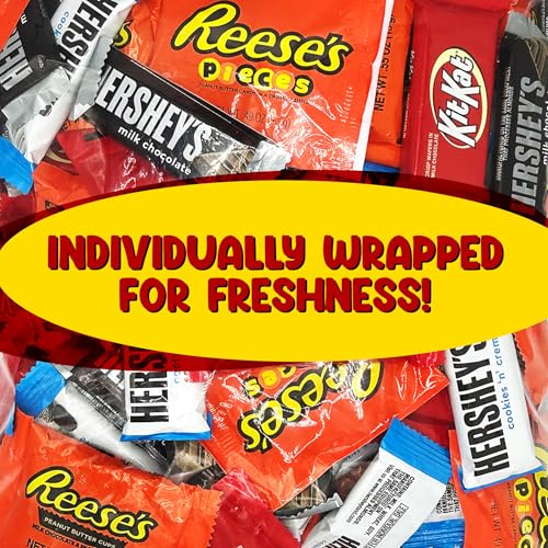 Bulk Chocolate Candy Mix Miniature Size - 5 Pounds Approx 210 pieces O5507