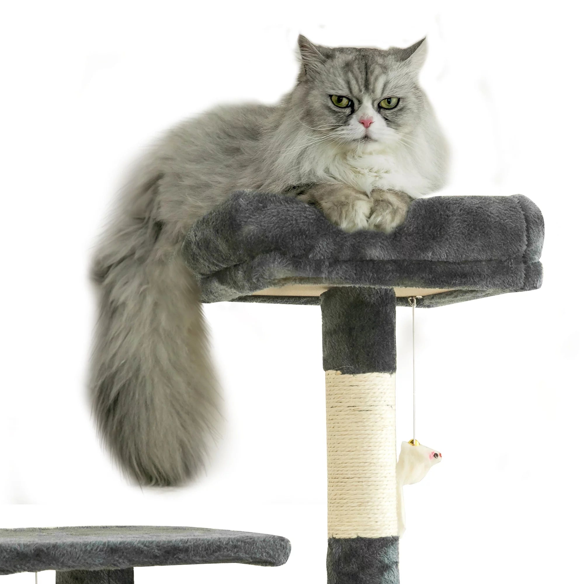 63.8-in Dark Gray Cat Tree with Condo and Scratching Post G184088