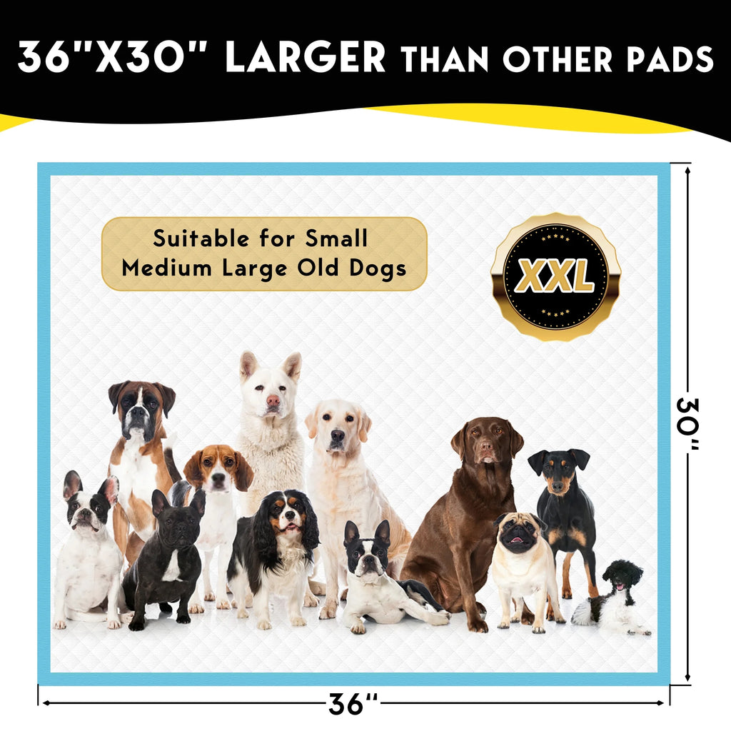 XXL Absorbent Dog Training Pads, 30x36 inch, 100 Count U4543