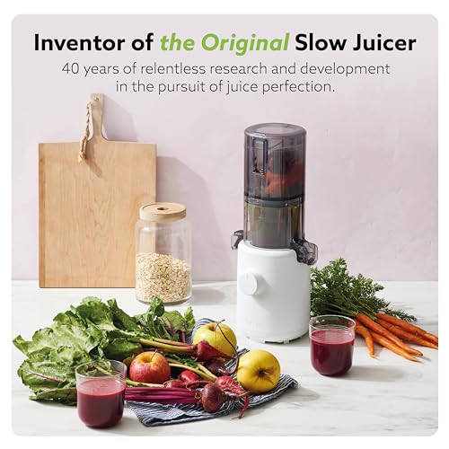 Self Feeding Slow Masticating Juicer Q597