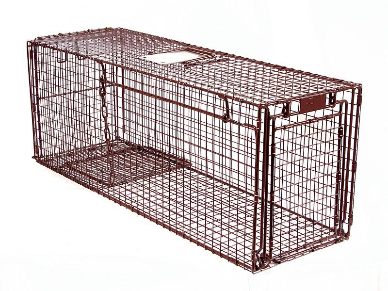 36D Humane Live Animal Trap E348133