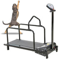 Dog Treadmill for Large Dogs K20867