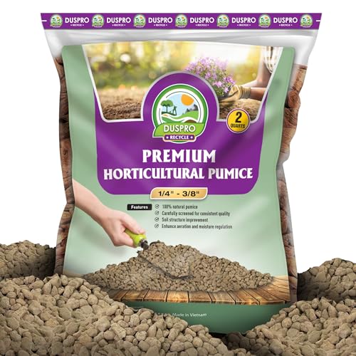Horticultural Pumice 2 QT 1/4" - 3/8" W805