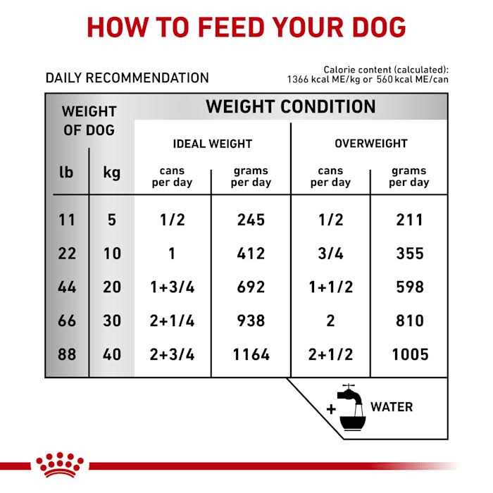 Veterinary Diet Hepatic Canned Dog Food J6207