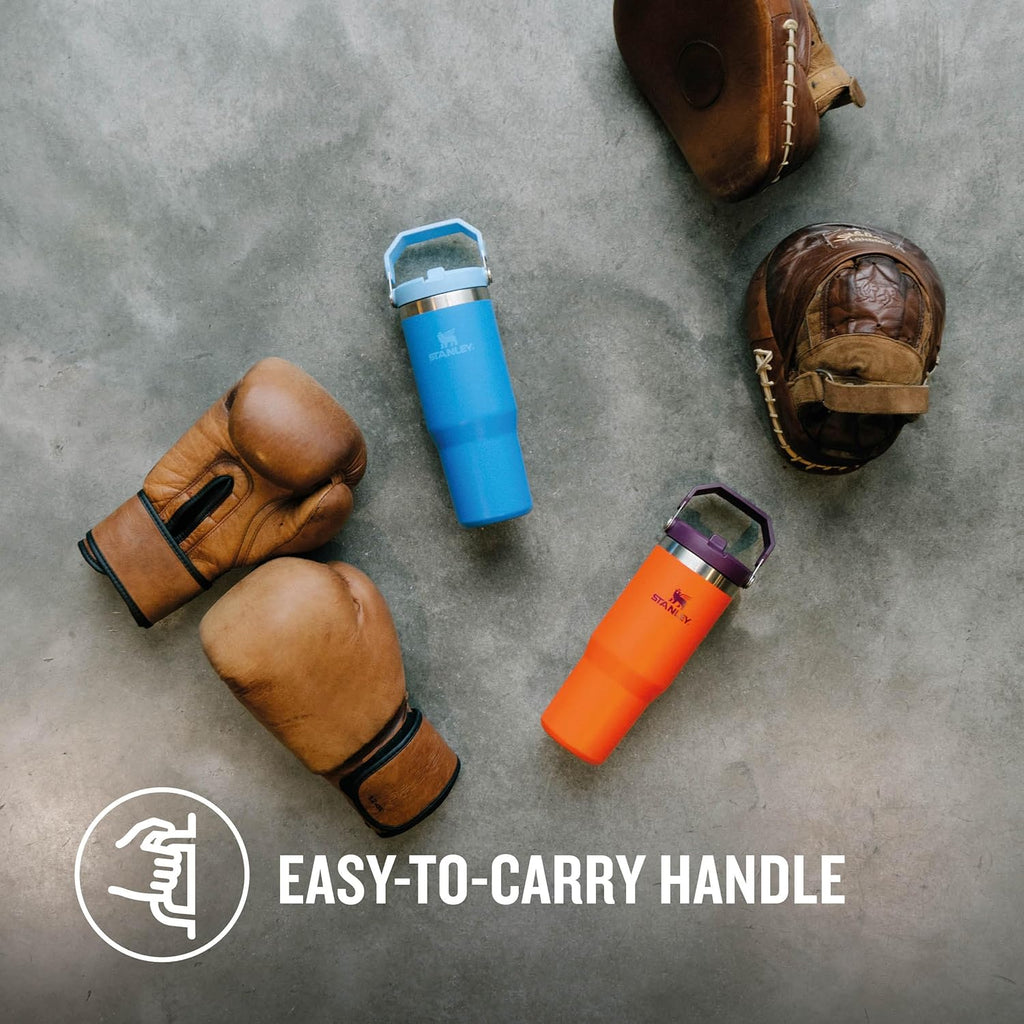 0.89L Stainless Steel Water Bottle P12610