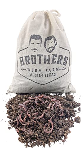1/2 LB Red Wiggler Compost Worm Blend W792
