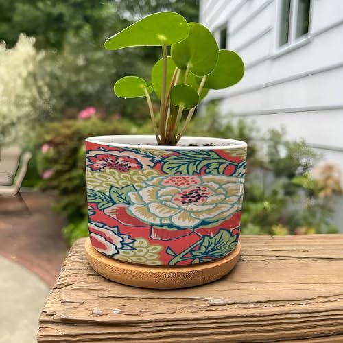 Pink and Blue Ceramic Round Flower Pots with Drainage Holes and Bamboo Tray I636