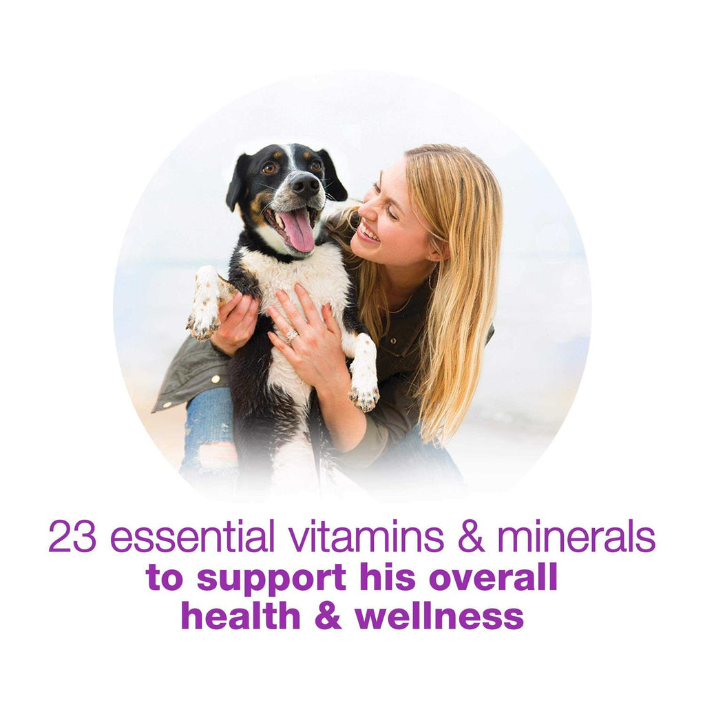 Chopped Blends Wet Dog Food O2628