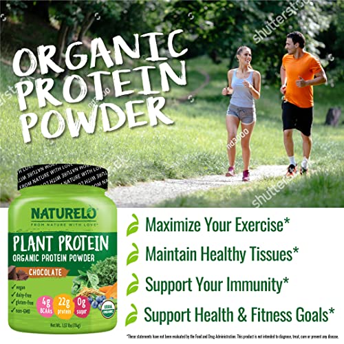 Vanilla Plant Protein Powder, 22g Protein, 20 Servings A430240