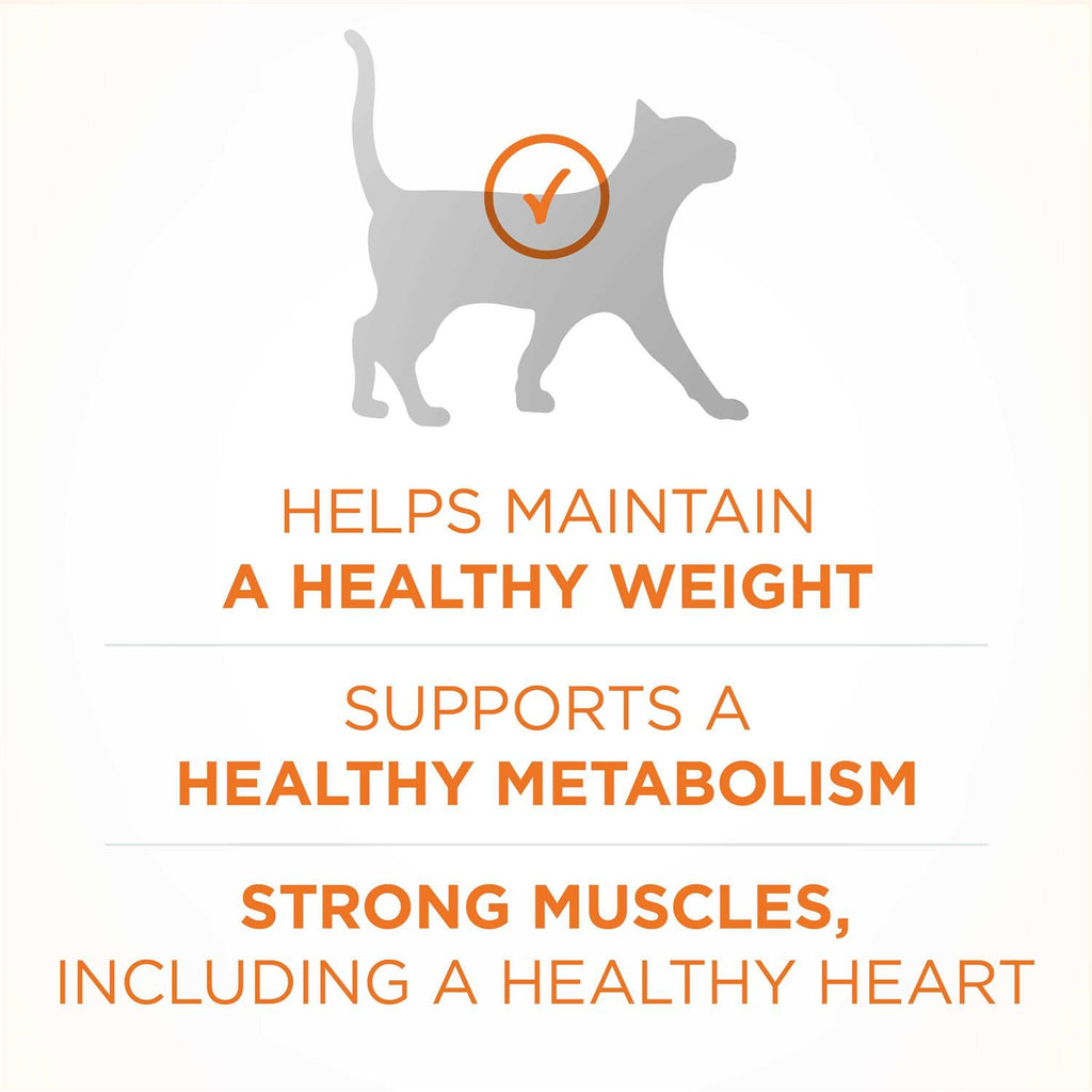 Dry Cat Food L87457