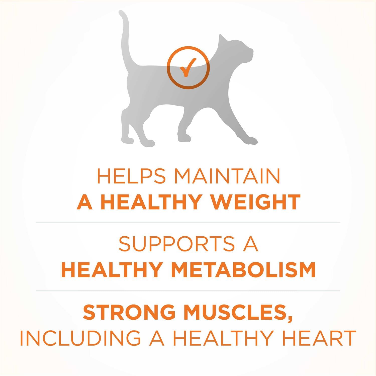 Dry Cat Food L87457