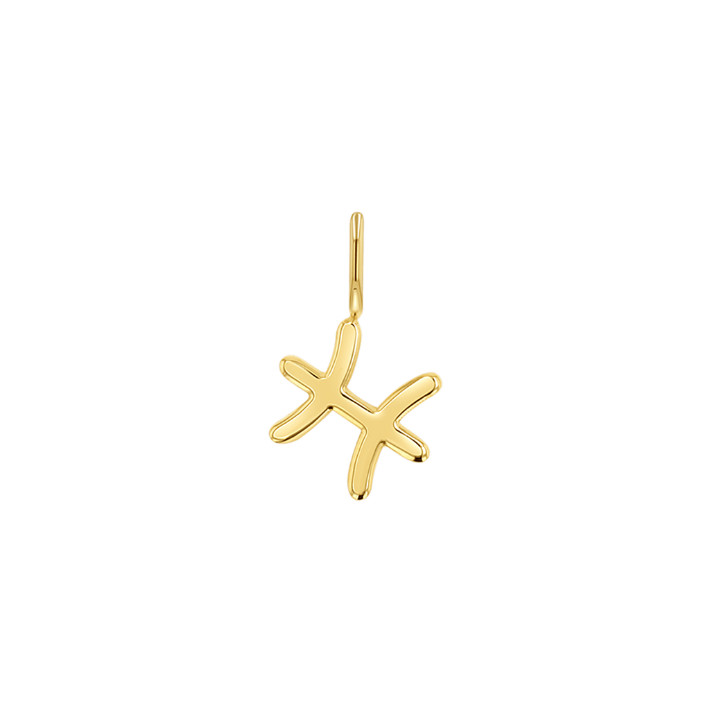 Zodiac Charm Z231706