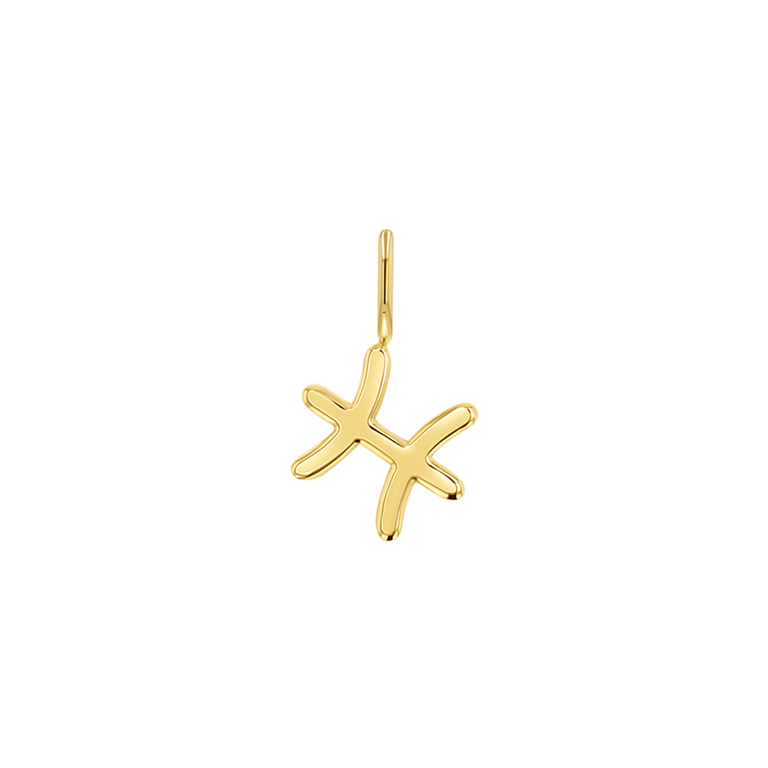Zodiac Charm Z231706