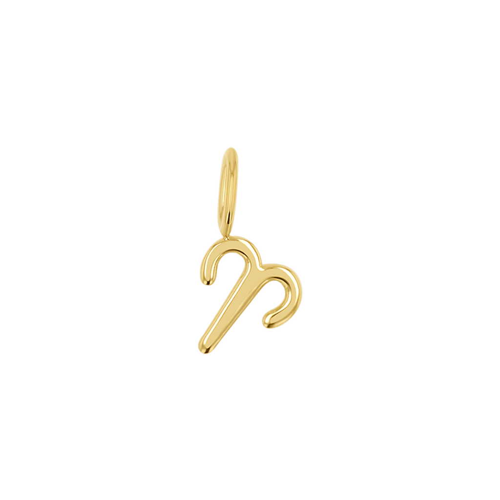 Zodiac Charm Z231706