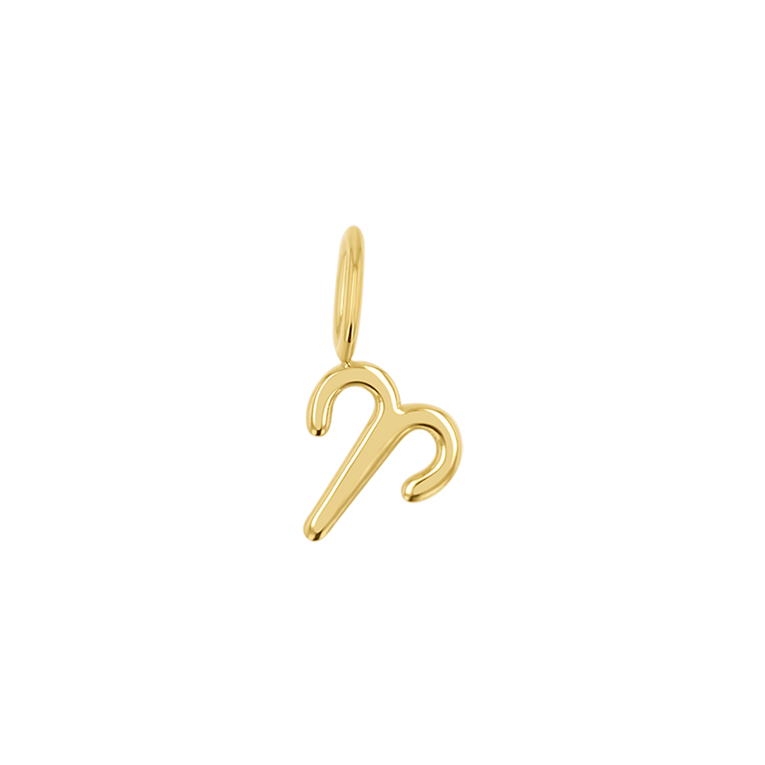 Zodiac Charm Z231706