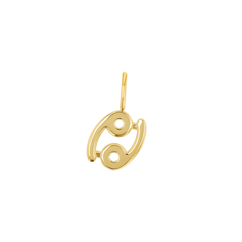 Zodiac Charm Z231706