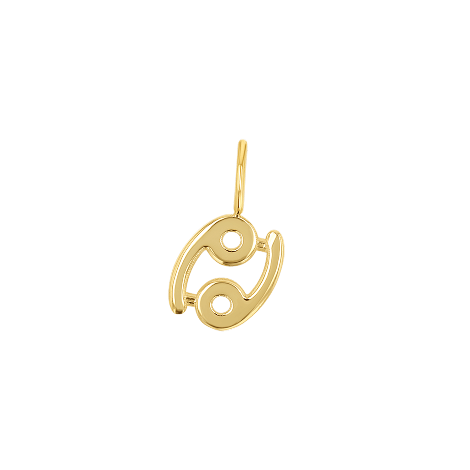 Zodiac Charm Z231706