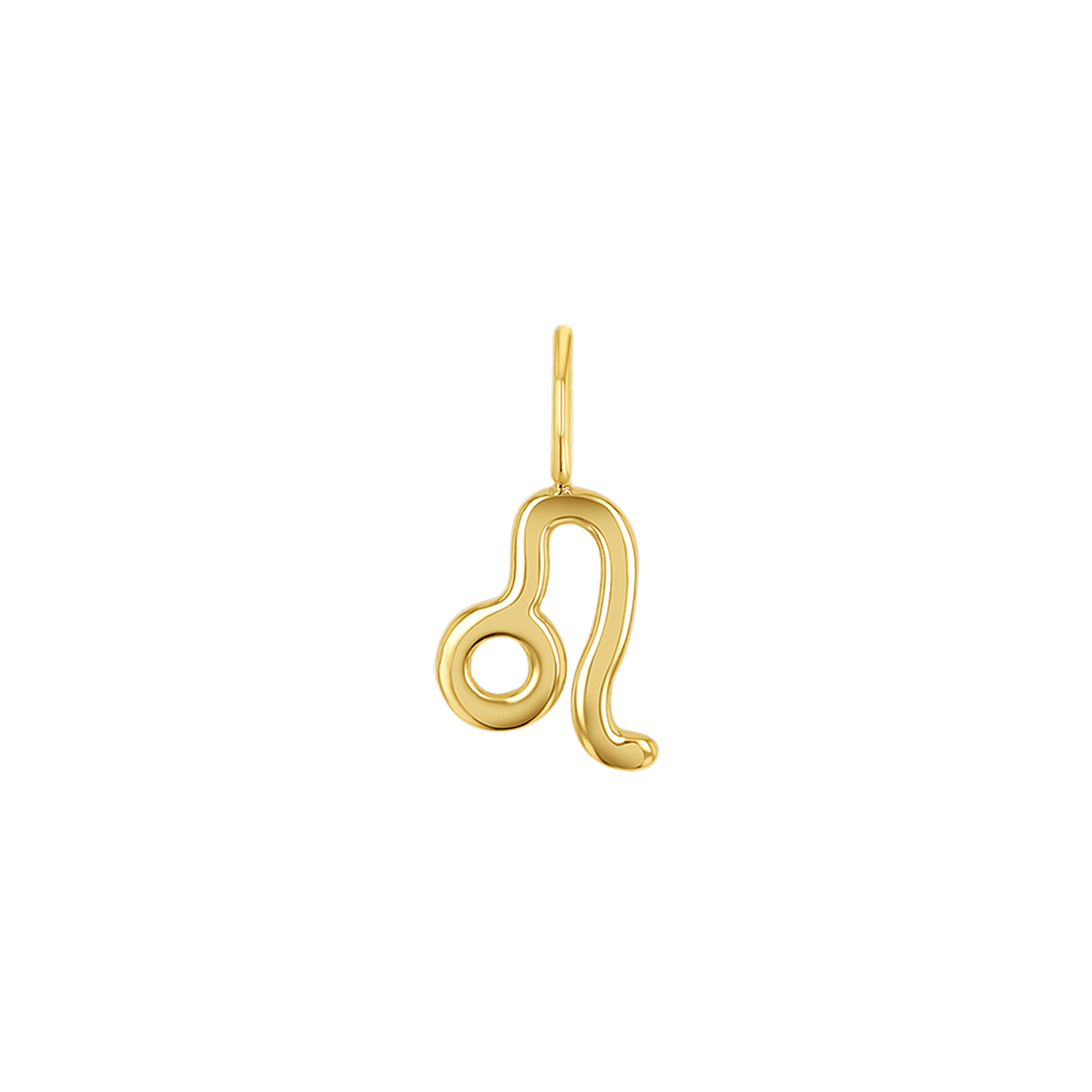 Zodiac Charm Z231706
