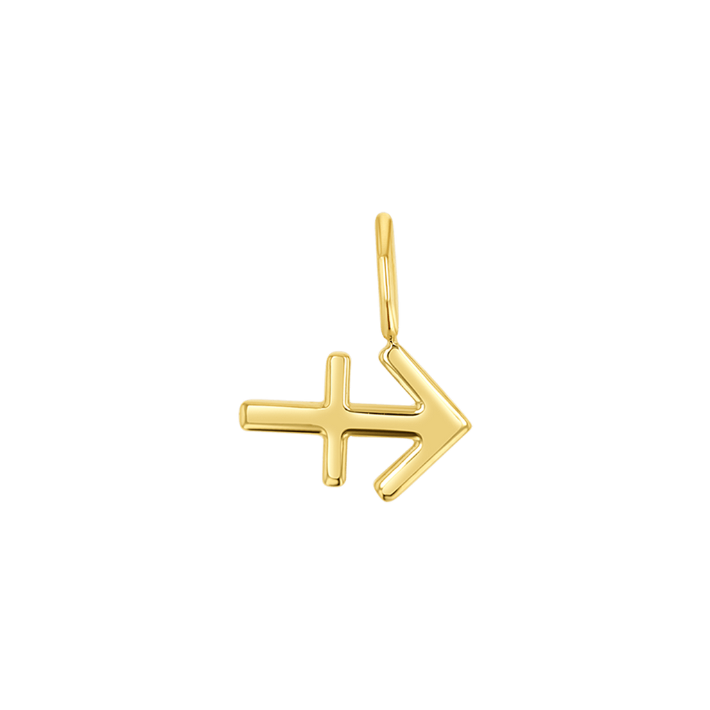 Zodiac Charm Z231706
