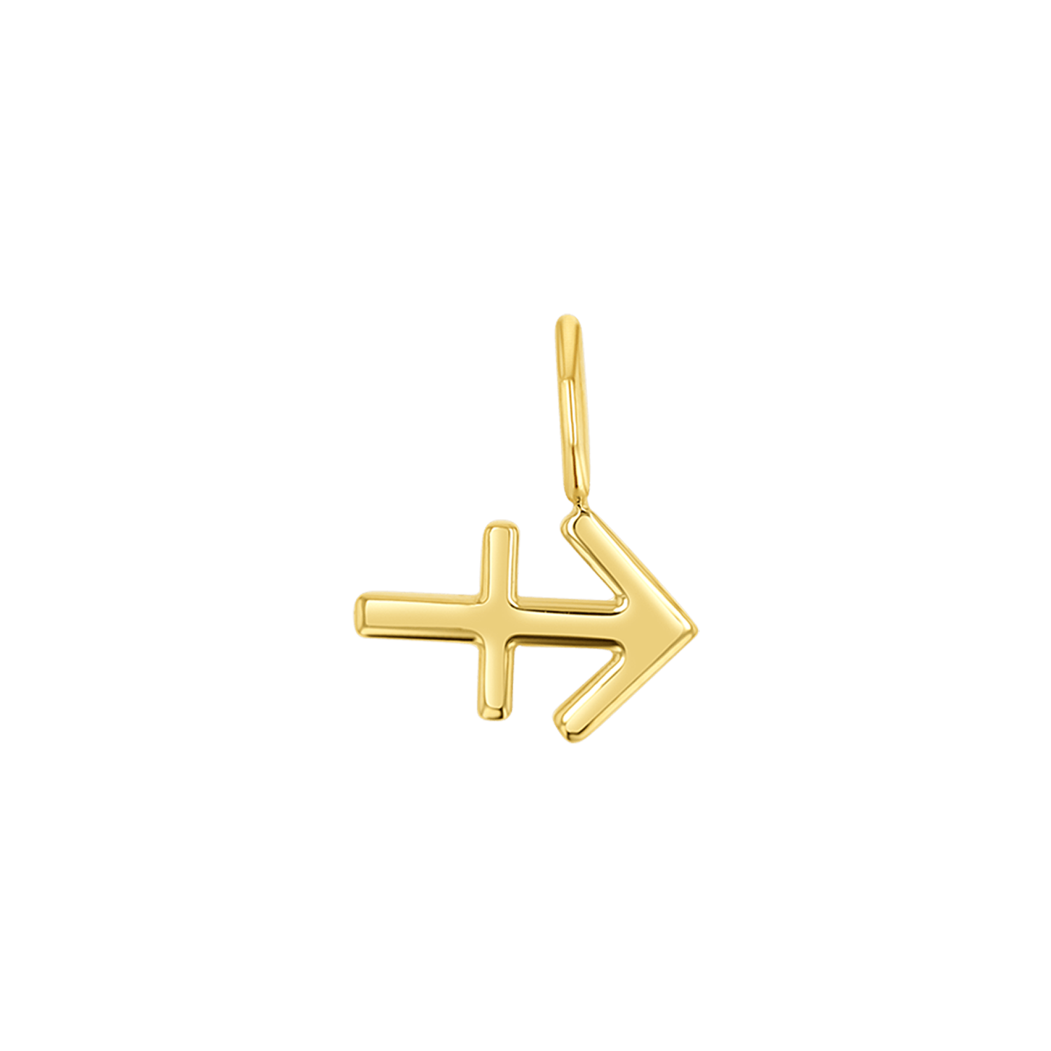 Zodiac Charm Z231706
