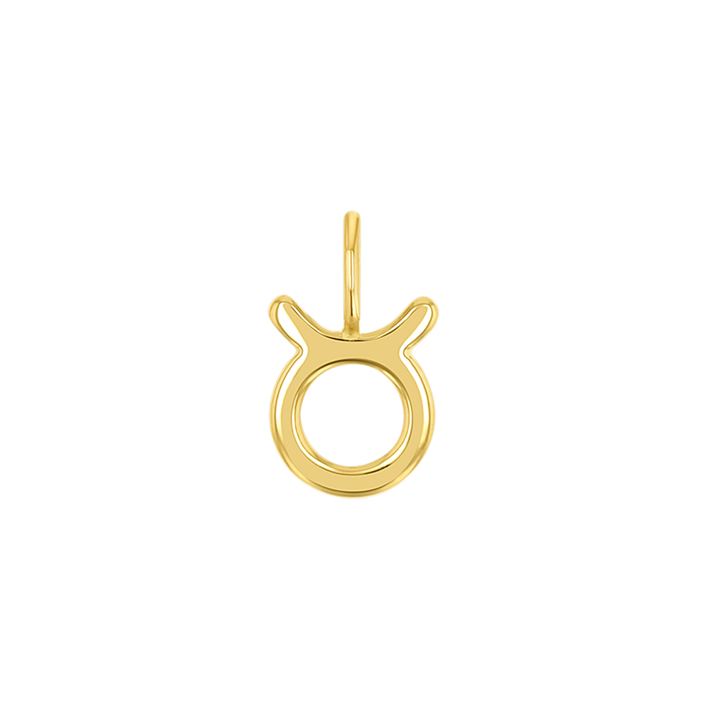 Zodiac Charm Z231706