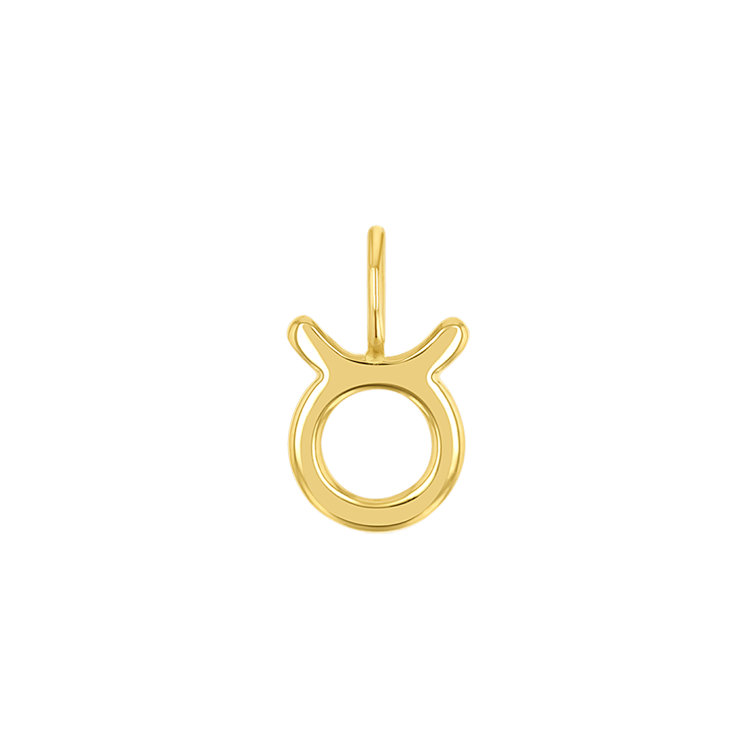 Zodiac Charm Z231706