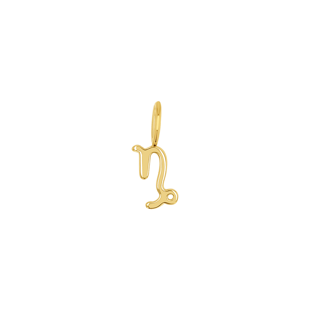 Zodiac Charm Z231706