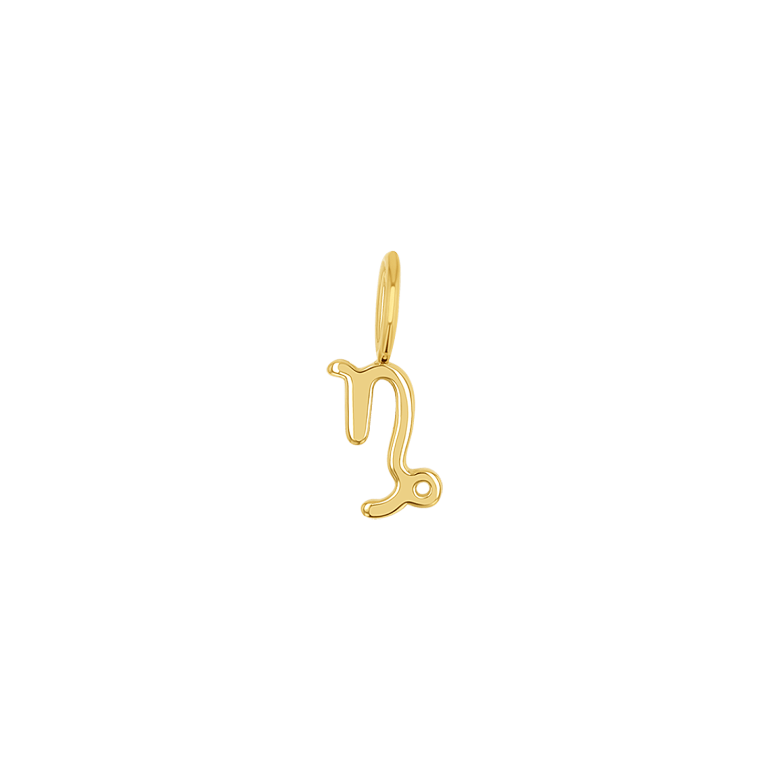 Zodiac Charm Z231706