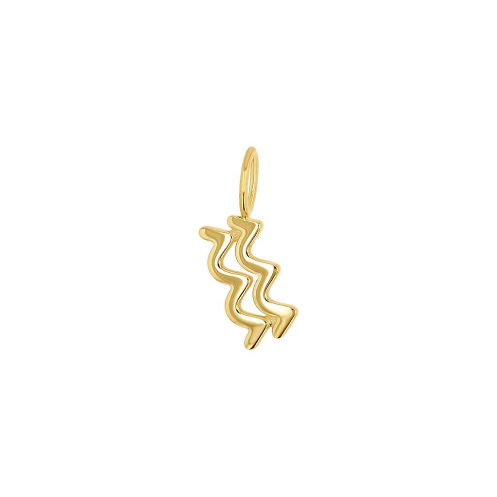 Zodiac Charm Z231706