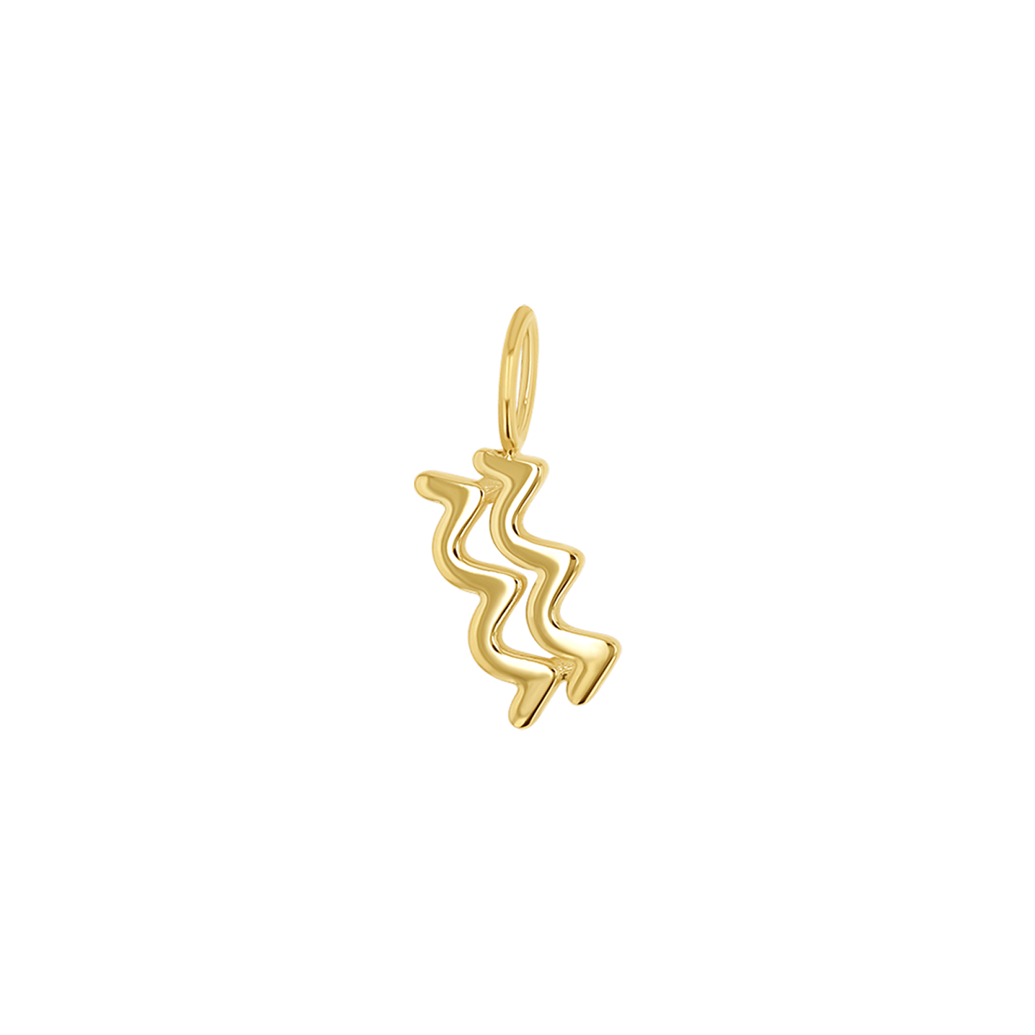 Zodiac Charm Z231706