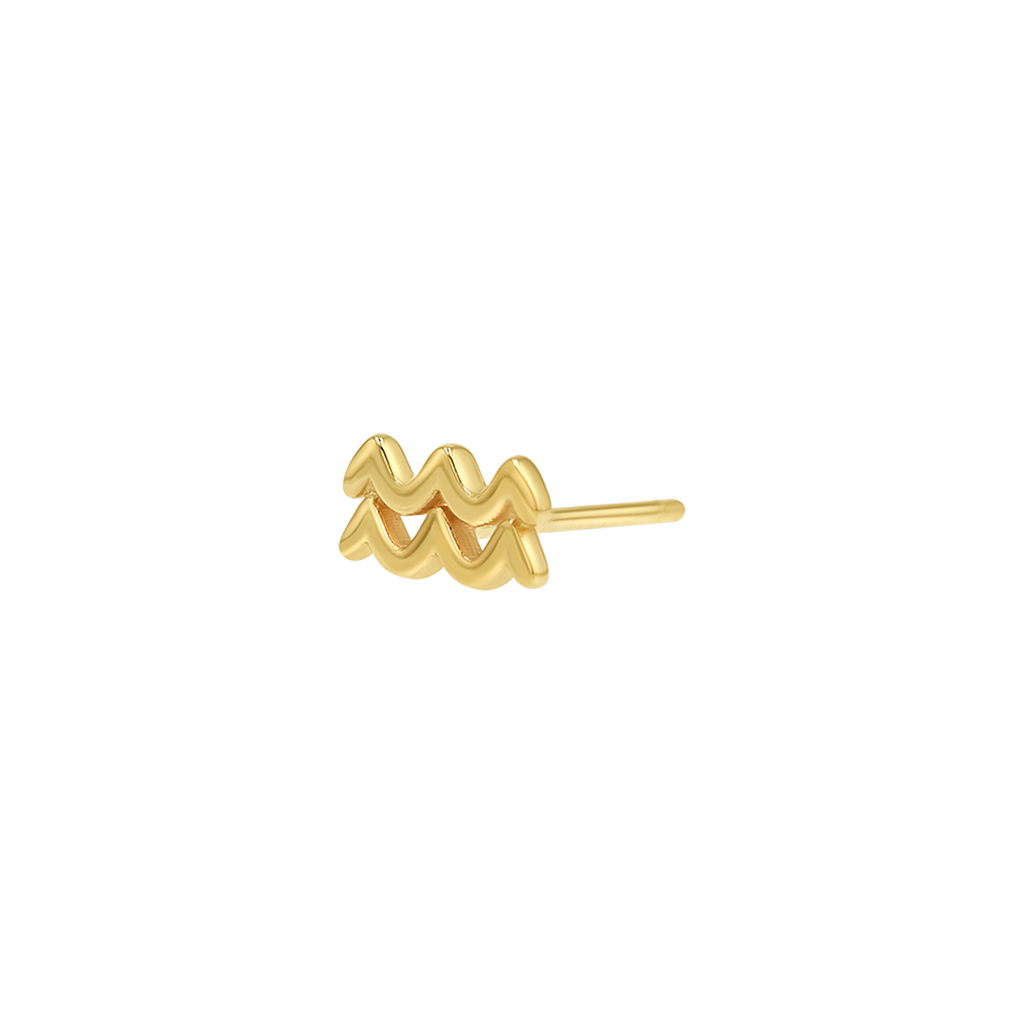 Zodiac Stud Earrings Y107