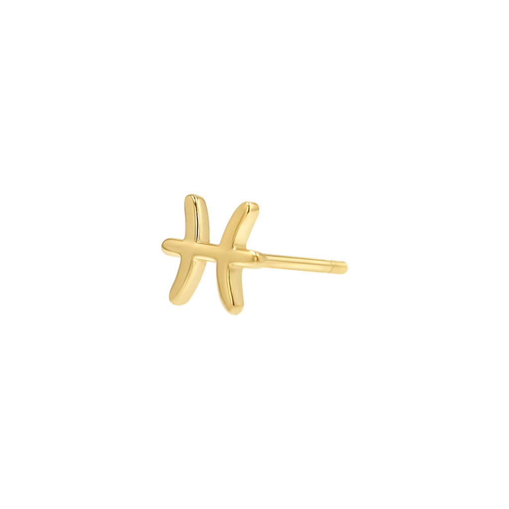 Zodiac Stud Earrings Y107