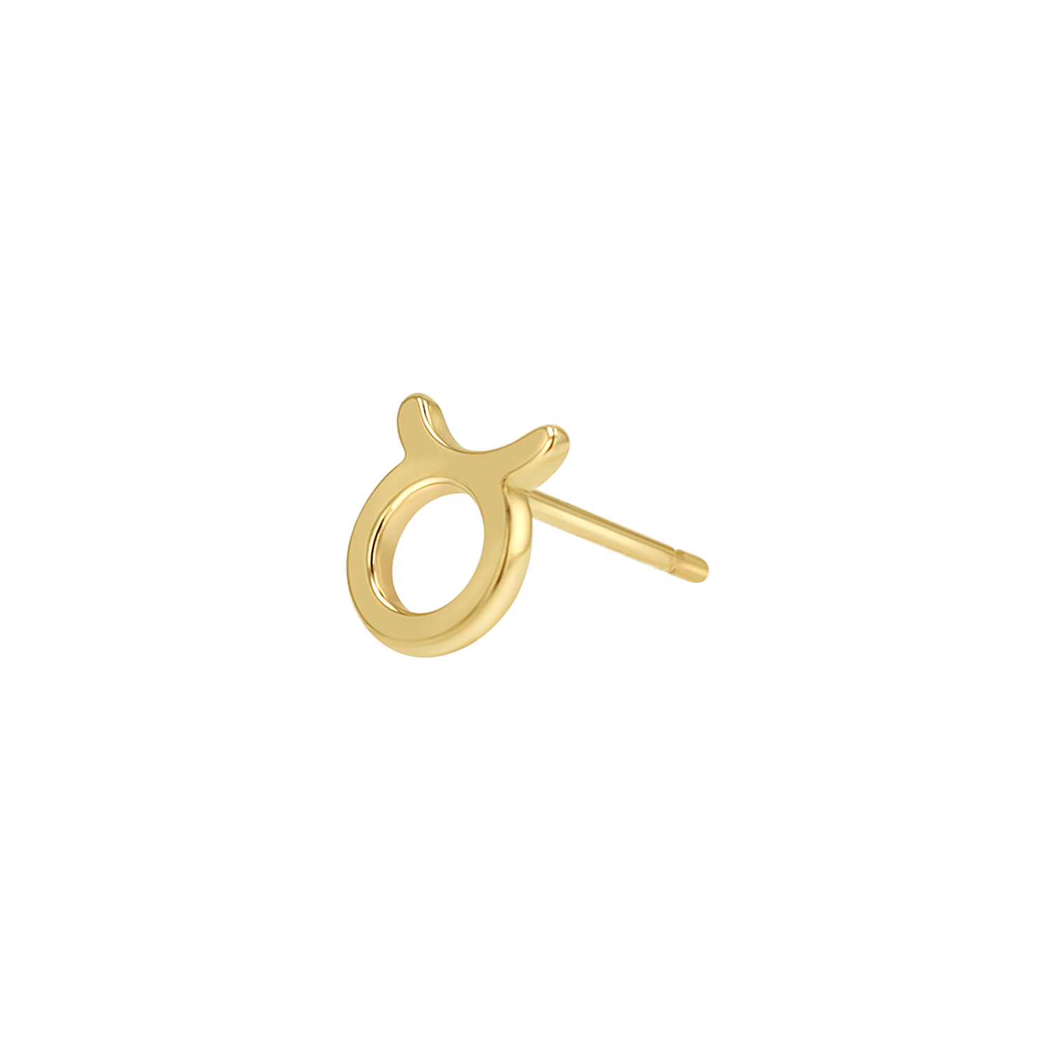 Zodiac Stud Earrings Y107