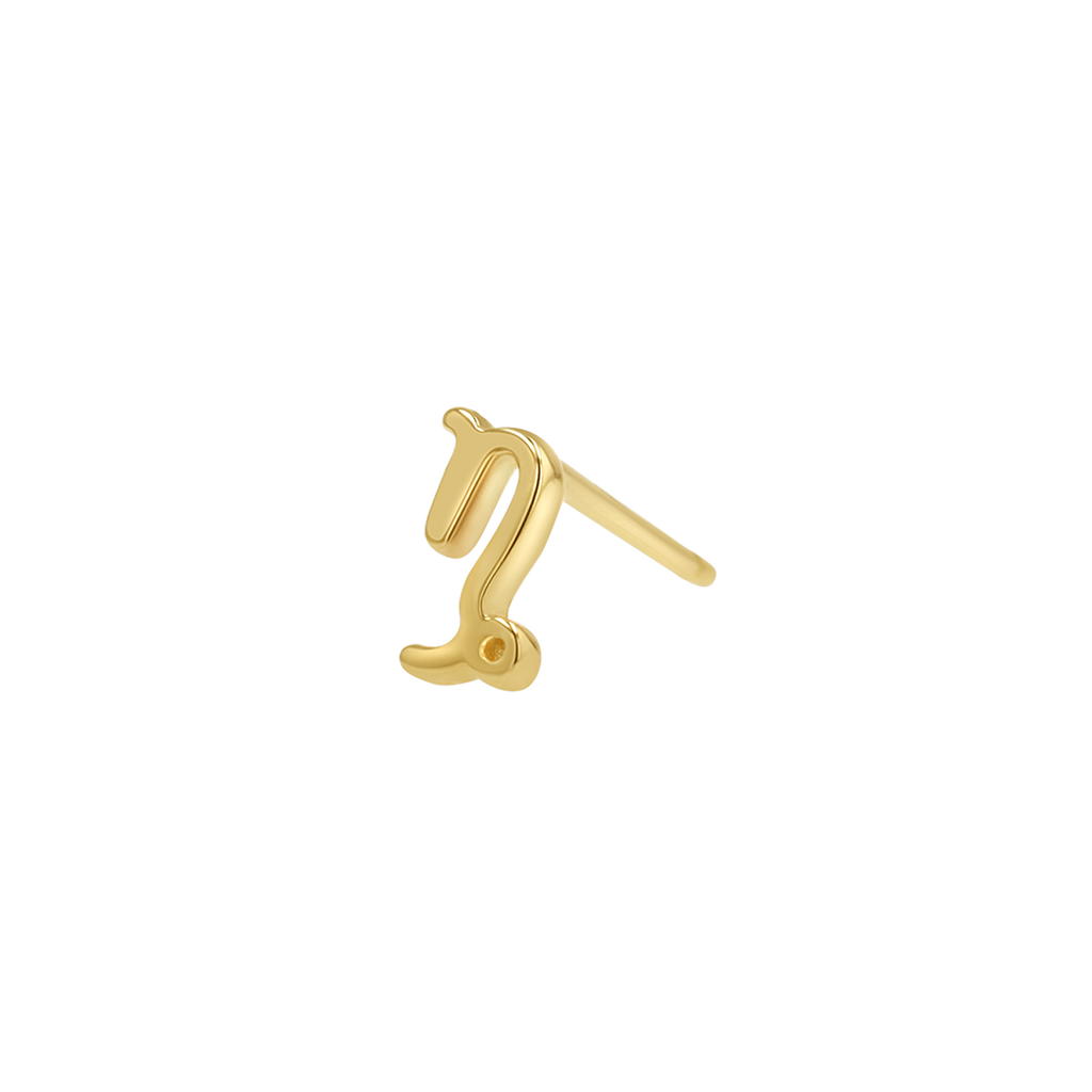 Zodiac Stud Earrings Y107