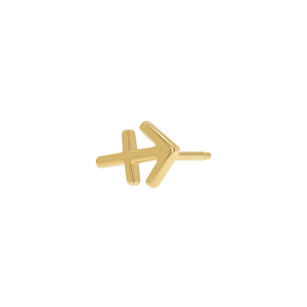 Zodiac Stud Earrings Y107