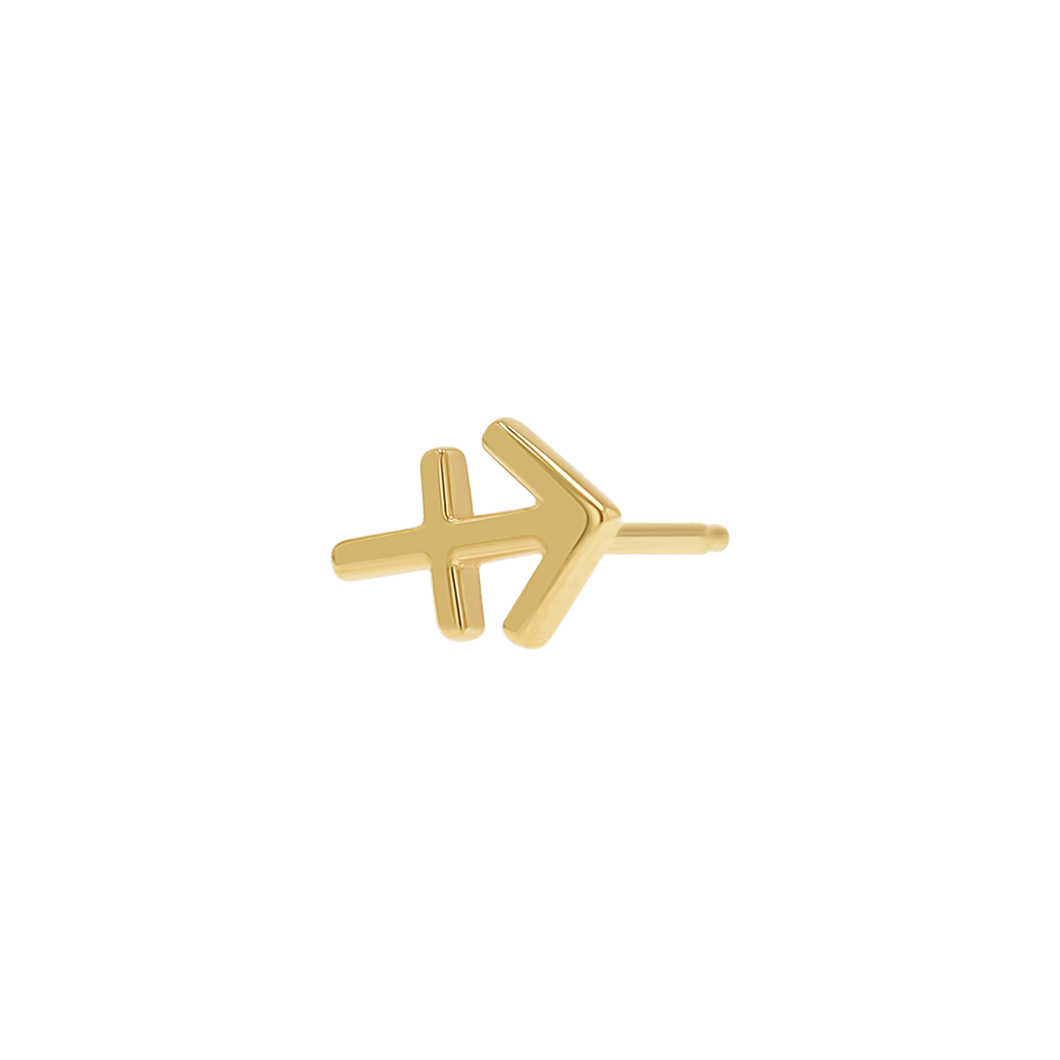 Zodiac Stud Earrings Y107