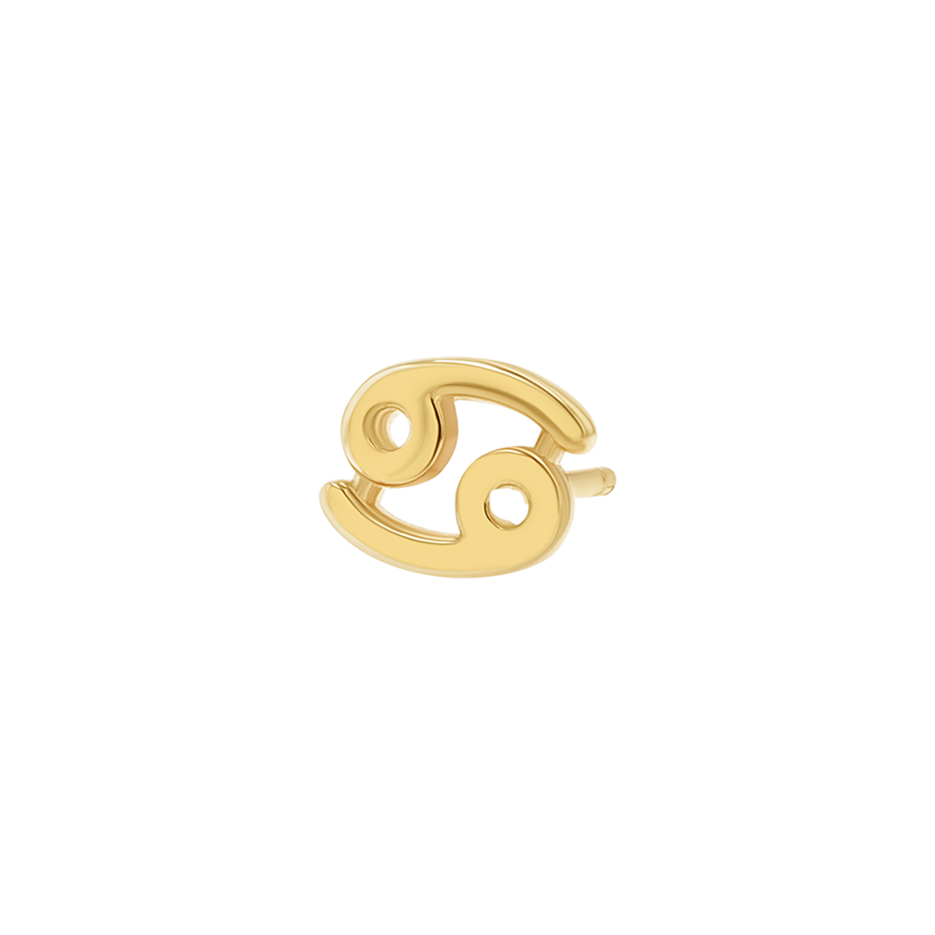 Zodiac Stud Earrings Y107