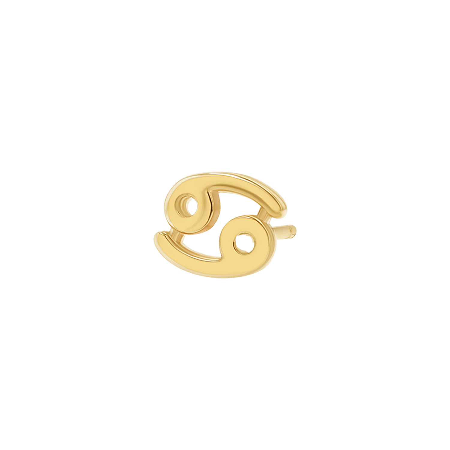 Zodiac Stud Earrings Y107