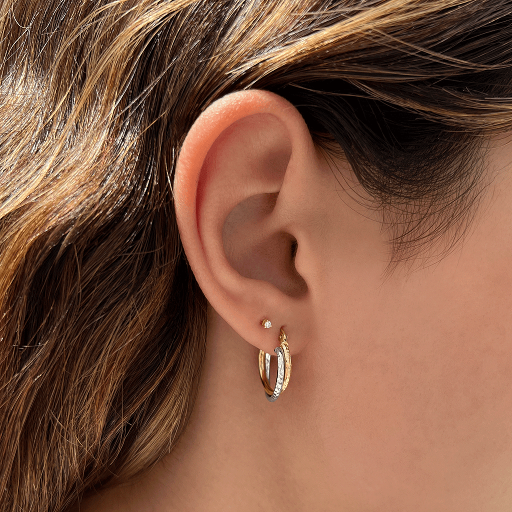 Double Hoop Earrings P198809