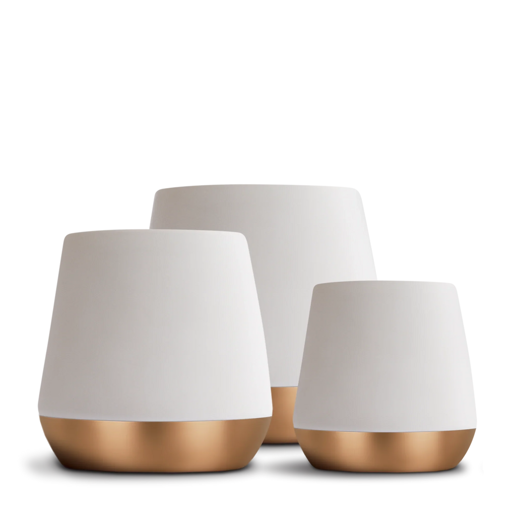 Double Wall Ceramic Mugs Q924823