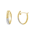 Two Tone Hoop Earrings T801